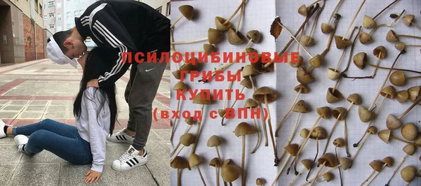 трава Пестово