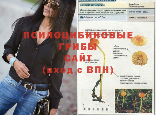 apvp Пересвет